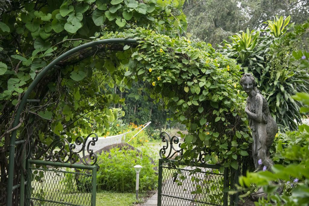 Villa Margarita Animas  Esterno foto