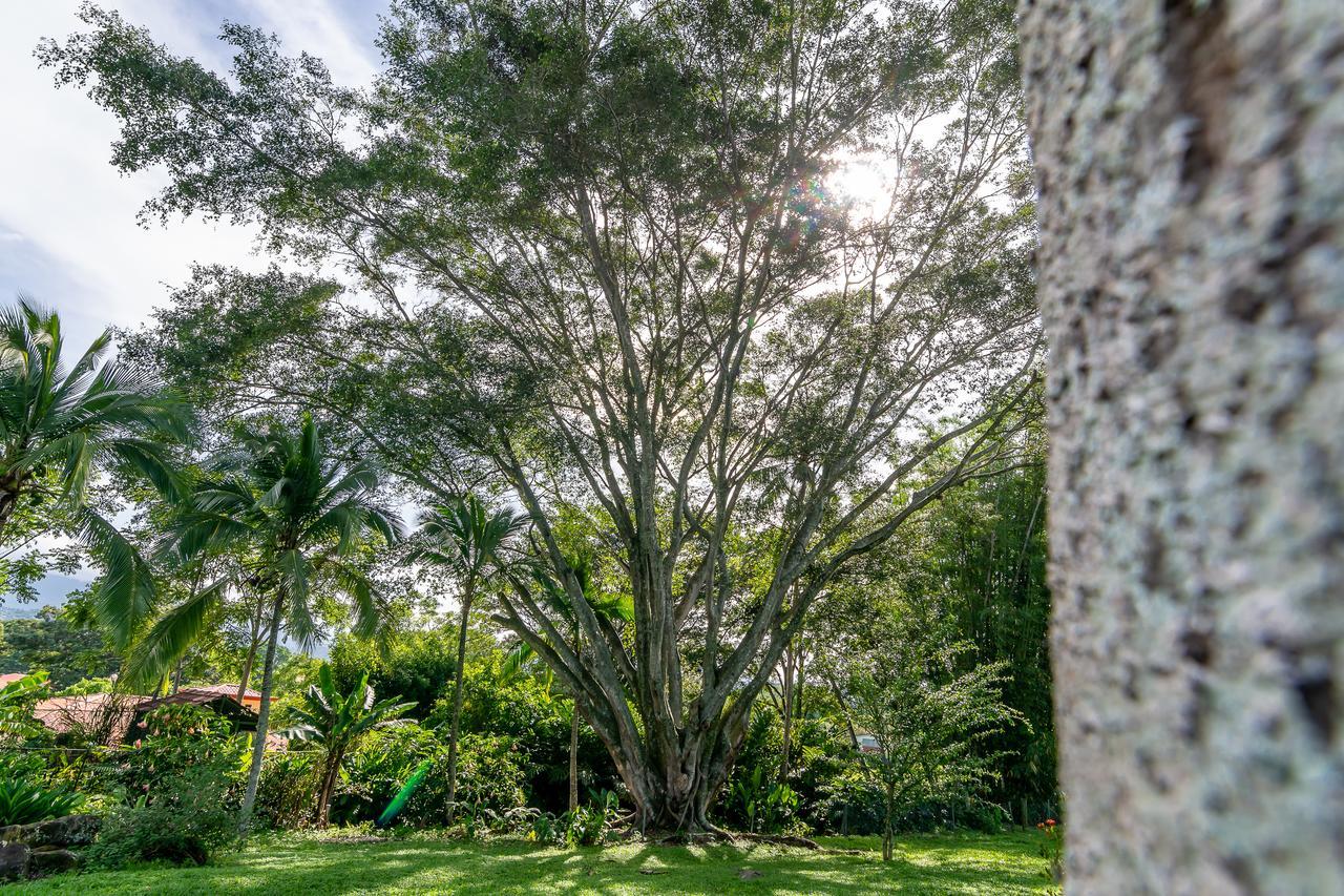 Villa Margarita Animas  Esterno foto